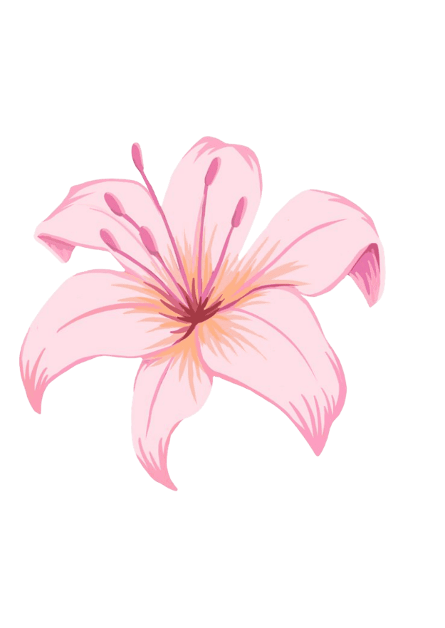 Lily decoration left of navbar name
