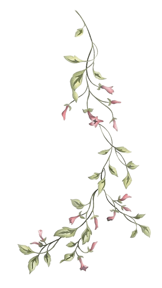 Hanging Lily 2